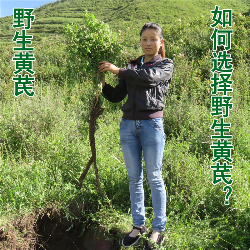 Gansu Minxian pure Astragalus tablets Premium wild Astragalus 500g g Natural Beiqi tea Huang's bubble water