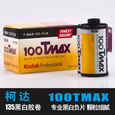 Kodak 135 professional black and white film 100 TMAX 100 degree negative particles fine film landscape