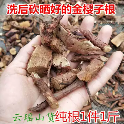Golden Sakura Root Wild Golden Sakura Root Golden Yingzi Root Bone Bone Dan Chinese herbal medicine Pure root Dry Goods Liquor Tea 500g