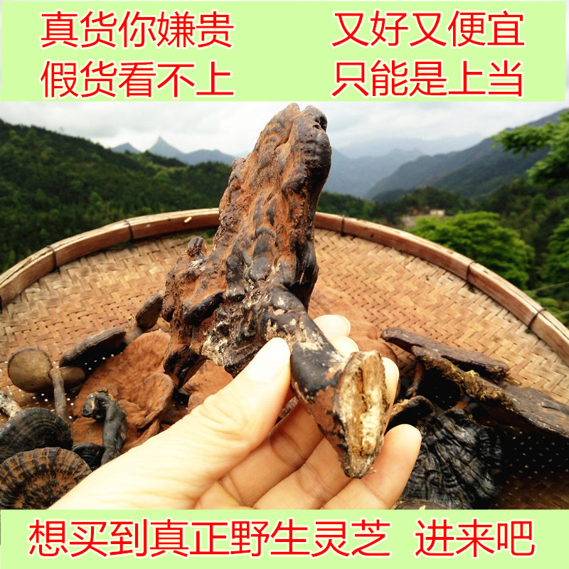 Yao Jia Deep Mountain Wild Lucid Lucid Lucid Lucid and Lucid Lucid and Lucid Lucid-Lucid Lucid and Sliced 250 gr