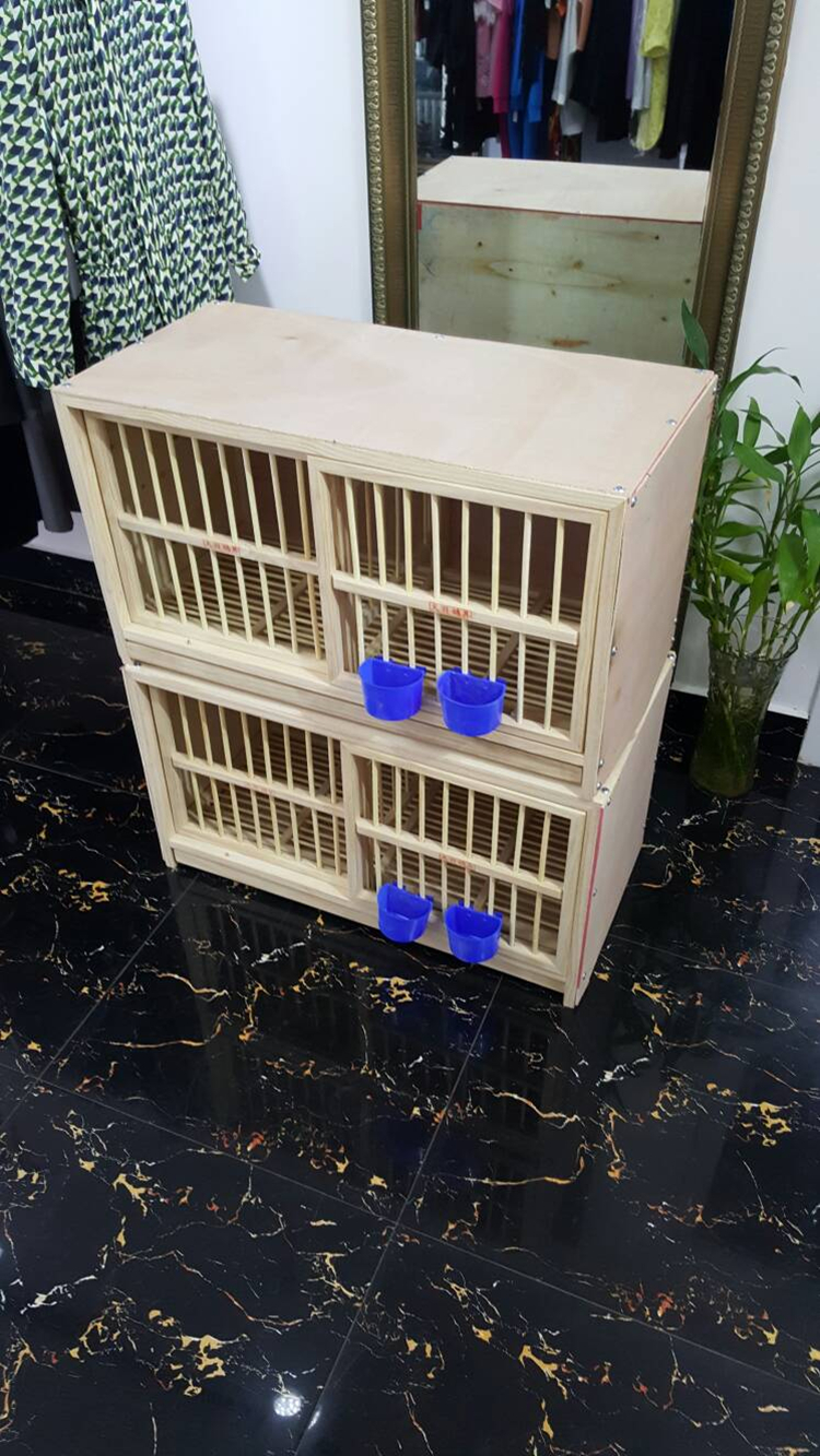 Chim bồ câu / hộp tổ chim bồ câu / hộp tổ chim bồ câu / chim bồ câu phù hợp lồng / chim bồ câu cung cấp cặp lồng chim bồ câu gỗ rắn - Chim & Chăm sóc chim Supplies lồng chim chào mào đẹp