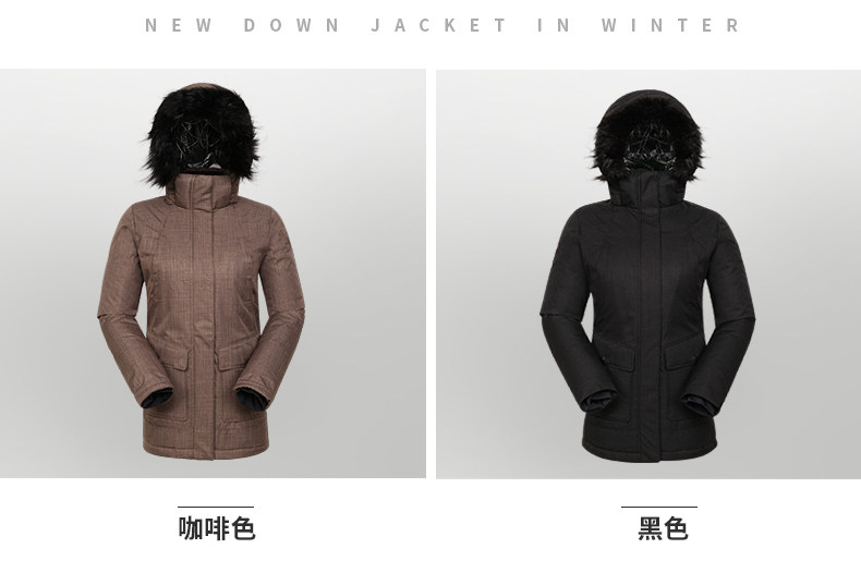 10246 части Bottom_02.jpg