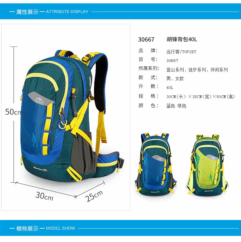 30667 Детали_09.jpg