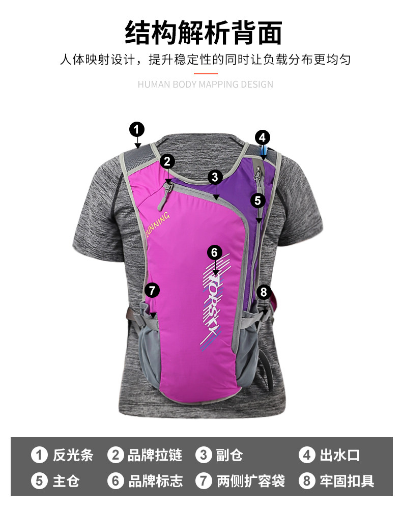 Задняя структура диаграмма.jpg