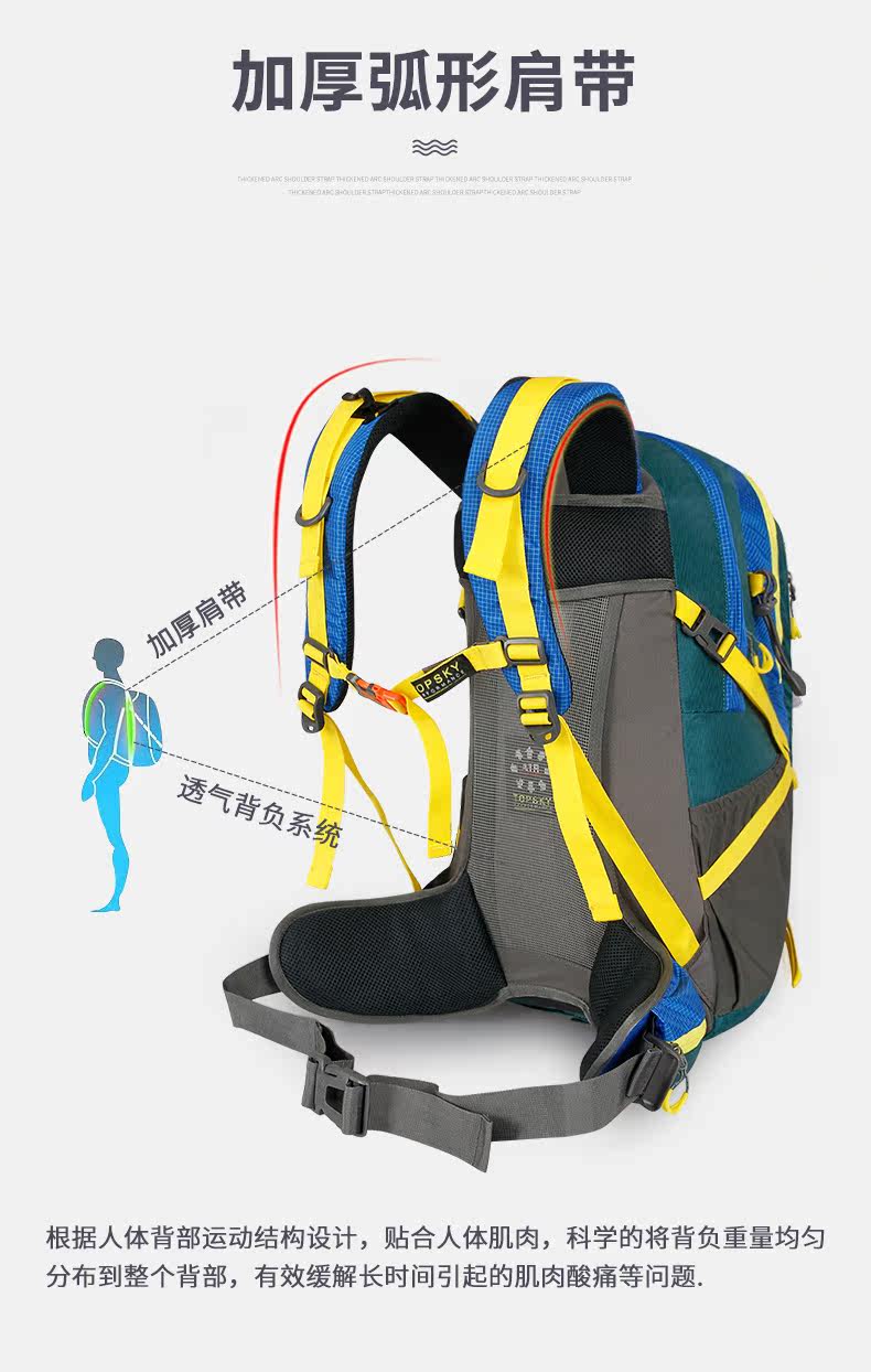 30667 Детали_04.jpg