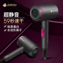 2021 New Net red hair dryer blower fashion constant temperature negative ion hair care home hot and cold explosion quick dry