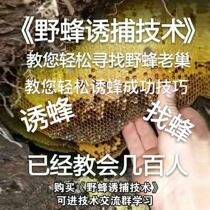 Lure beeswax to lure beehives to attract bees magic bee luring water to attract bees water to collect bees luring bees queen bees and beekeeping tools.