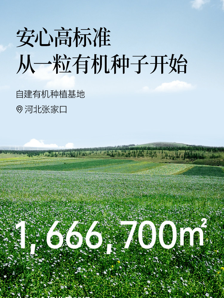 Shengmai Organic Flaxseed Oil, First Grade Cold-Pressed, Ready to Drink, Official Flagship Store Genuine Product, Virgin 250ml for Consumption