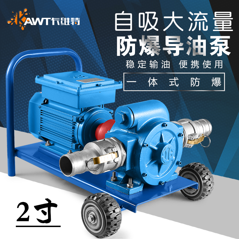 Electric pumping pump 12v24v220v explosion-proof oil conduction oil discharge pump high flow diesel gasoline tank truck fuel dispenser