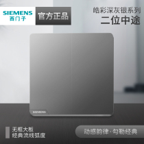 Siemens two-position midway multi-control switch Haocai dark gray silver 86 type home wall whole house package panel