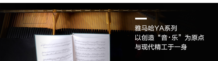 Đinh Đinh Tần Tần Piano Upright Piano Bắc Kinh Thượng Hải Cho thuê Piano Cho người mới bắt đầu Yamaha YA118CNS piano casio