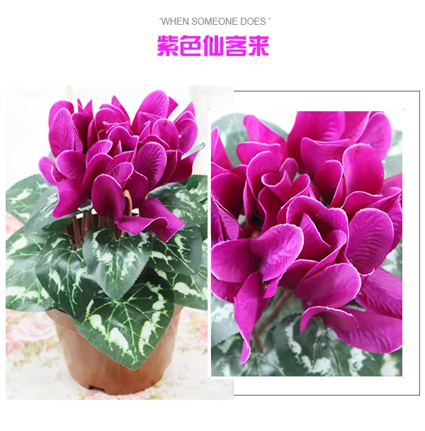 Cyclamen mô phỏng cây xanh trồng hoa trang trí chậu hoa giả hoa chống thực trang trí phòng khách nhựa cây xanh - Hoa nhân tạo / Cây / Trái cây cây xanh giả