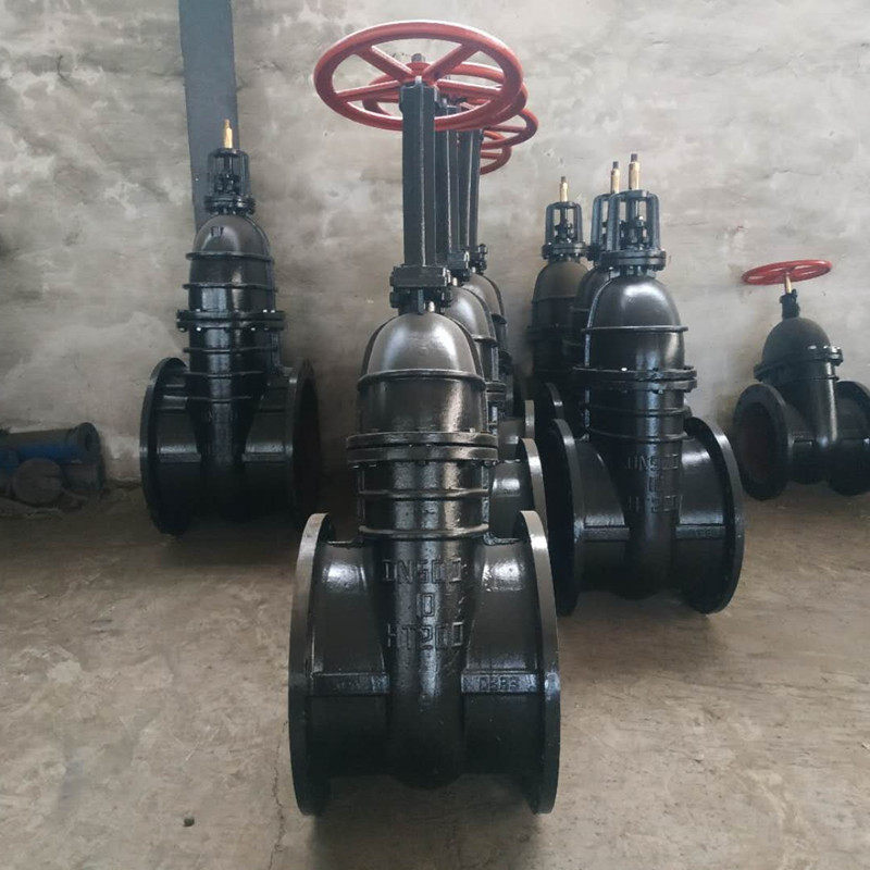 Z41T-10 16 cast iron Ming rod gate valve copper core Ming rod flange gate valve dn80 100200250500