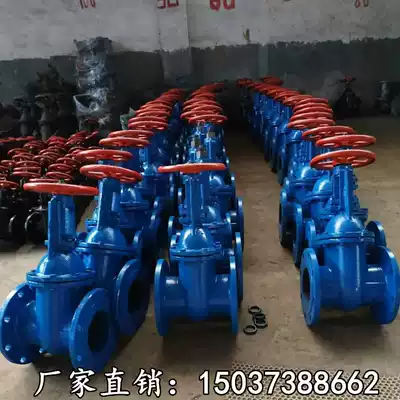 Z41T-10 16 cast iron rising stem flange gate valve copper rising stem dn40 50 65 80 100 125 150