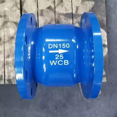 HC41X-16 silencer check valve flange silencer check valve check valve check valve N50 65 80 100