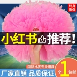 Pinao La La Hand Shake Flower Politers Laos Лаос танцевальная команда танцевальной команды танцевальная команда