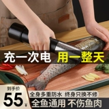 Электрические царапины рыбные чешуйки