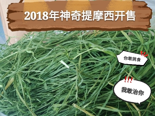 (CO hemp family pasture) 2 boxes * 2021 specifically for picking up a pet to be planted with amazing Timothy grass