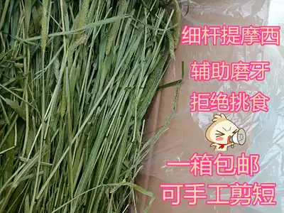 (CO Majia forage) 1 box*Designed for picky eaters to provide thin rod baking box Timothy grass 