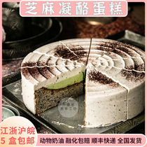 Bigeville Sesame Cheese 8 Inch Mousse Frozen Cake Coffee Hall Tea Break West Point Bread Temptation Ice Cream