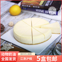 Colourful New York cheesest frozen cake thaw ready-to-eat coffee Antya sweet taster Lower afternoon tea West Point Chocolate biscuit