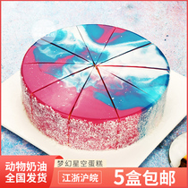 Colourful Dreams Starry Sky 8 Inch Birthday Frozen Cake Plyo West Point Café Sweet Afternoon Tea Break