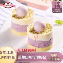 Bigville Blueberry Cheetos Frozen Cake Method Dessert Birthday Tea For Afternoon Tea Banquet Dessert 9 Pieces Of Clothing