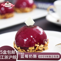 Colorful Blueberry Cheese style Frozen Cake Coffee Private Room Baking handmade West Point afternoon Tea hysteria snacks