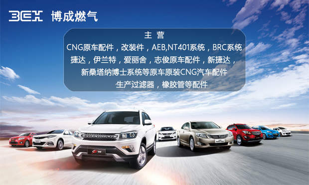 CNG xe hơi khí tự nhiên phụ kiện đa điểm van giảm áp lõi lõi giảm áp pha giai đoạn đầu tiên sửa chữa lõi van - Sửa đổi ô tô chổi rửa xe ô tô tự xoay