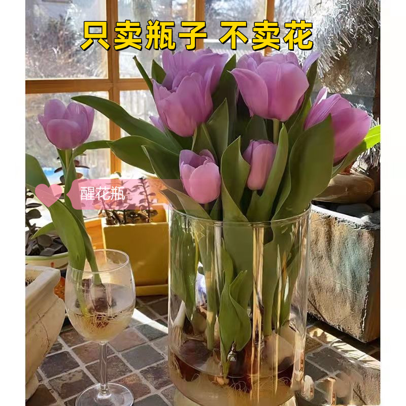Net Red Acrylic Wake-up Bucket Raised flowers Flowers Plastic Home Florist Exclusive Professional Square Transparent Big