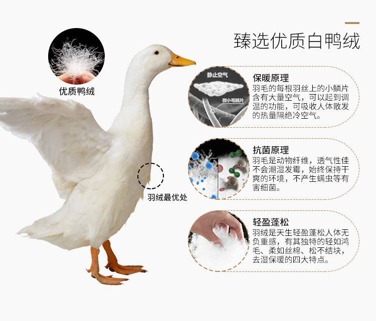 Blouson homme - Ref 3121226 Image 11