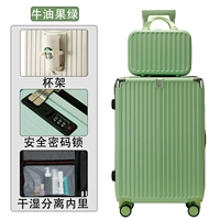 Зеленый авокадо