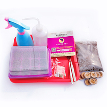 G42 Imported seedling block Seedling box Moisturizing vegetables and flowers fleshy plastic seedling box Seedling plate cup