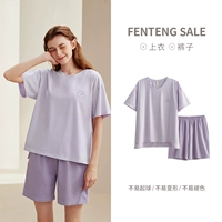 198324130 Taro Purple (женщина)