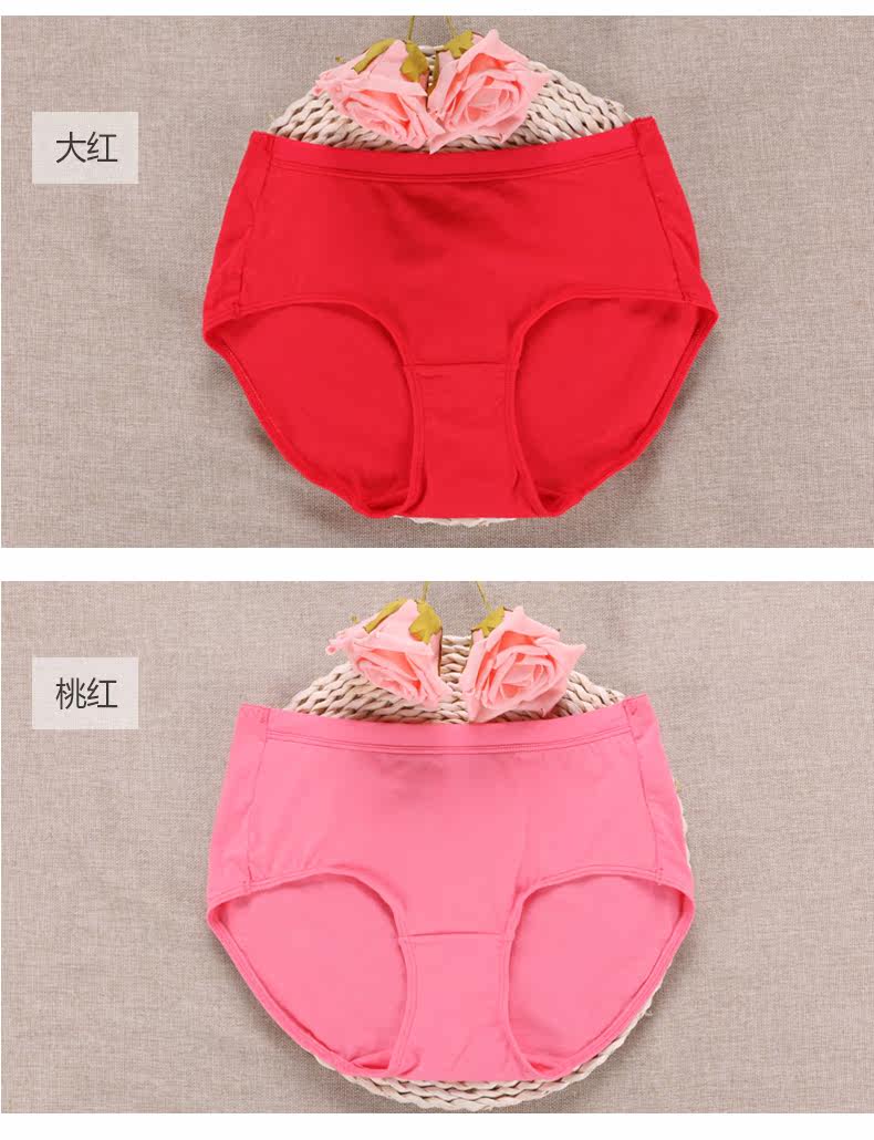 Slip jeunesse U6244 en coton - Ref 667879 Image 11