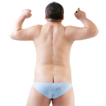 Original cute bear printing Super Sexy Seduction elephant nose low waist open hip groove butt briefs