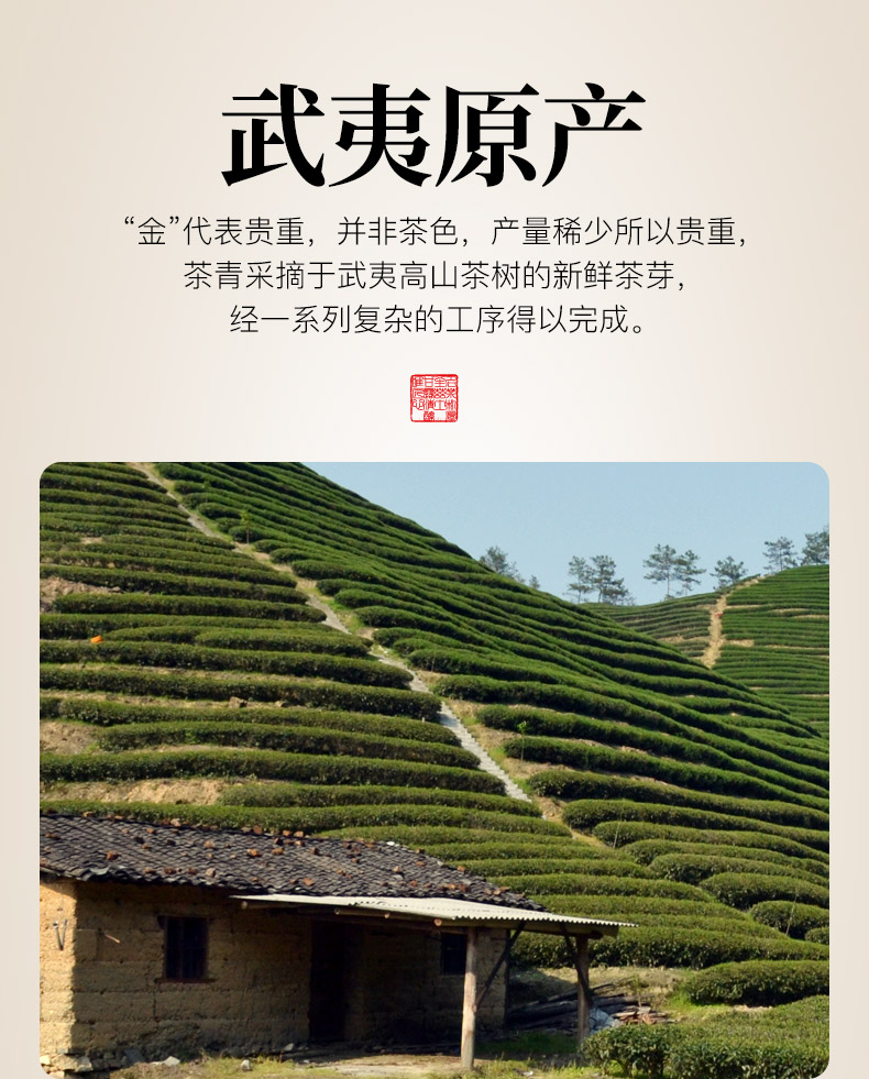 Jin-jinjunmei_08.jpg