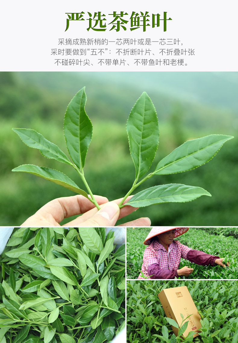仙醇 安溪铁观音 礼盒装 125g/16小包 图5