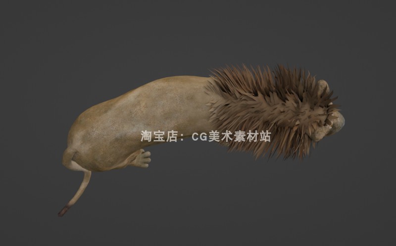 图片[4]-Blender食肉动物森林之王野兽生物狮子骨骼绑定动画3D模型素材-cg男孩