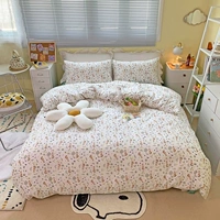 Bobe Rabbit