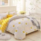 Milana cotton bốn mảnh bộ đồ giường cotton bốn mảnh trải giường chăn đôi 1,5m1,8 mét mục vụ - Bộ đồ giường bốn mảnh