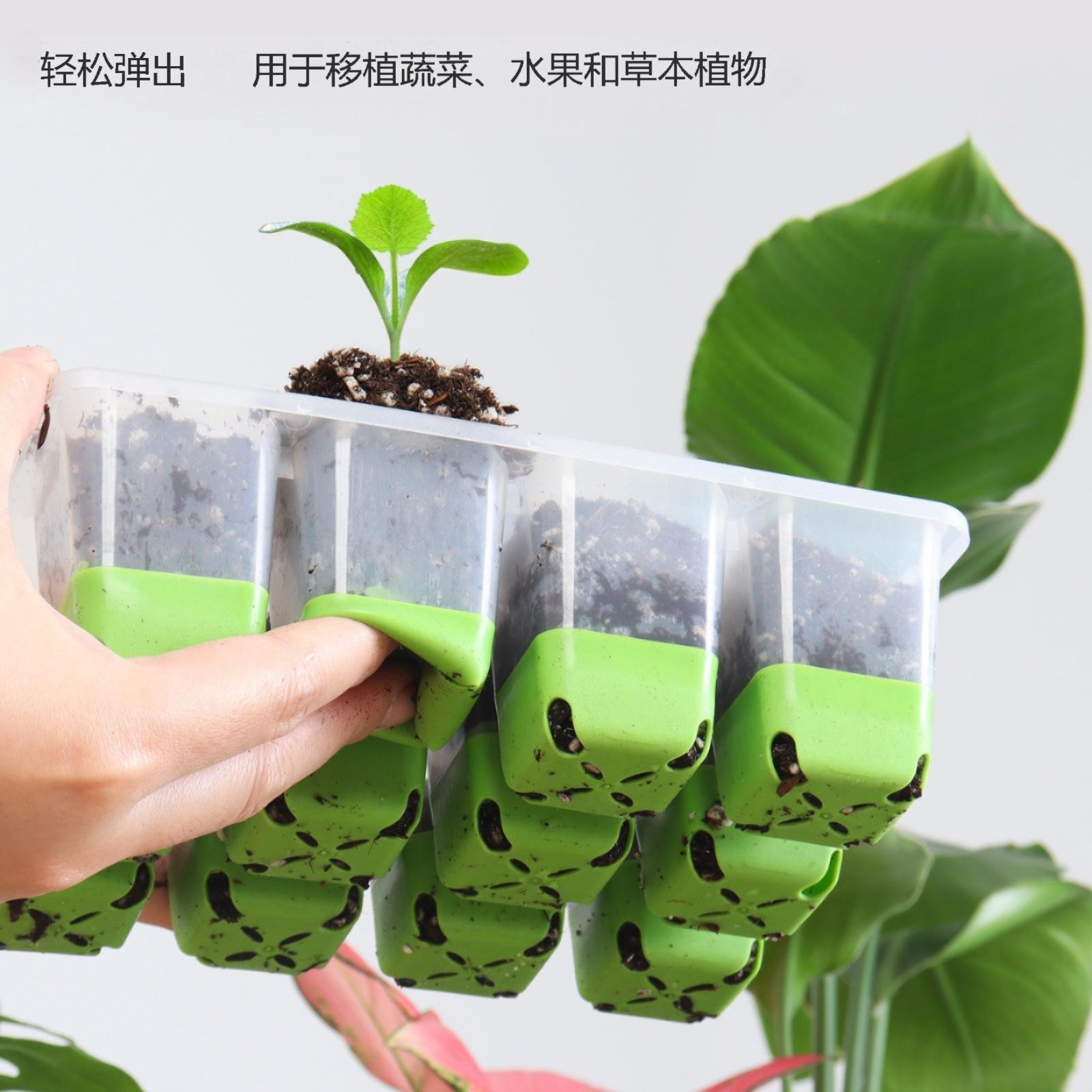 植造工坊