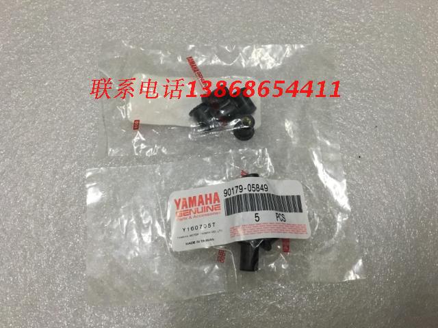 Mount Everest Mountain leaves ZF125T-7 Europa 125 Europa King Majester 125 windshield plastic screw cap One