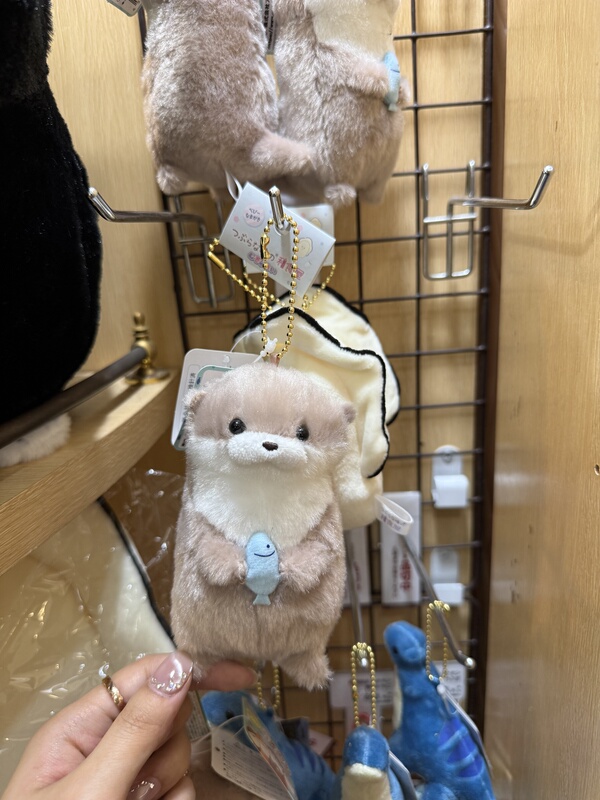 In-Stock Japanese Authentic Amuse Otter Plush Toy Dino Lee Chan-Hong Same Style Plush Doll Keychain In-Stock Japanese Authentic Amuse Otter Plush Toy Dino Lee Chan-Hong Same Style Plush Doll Keychain