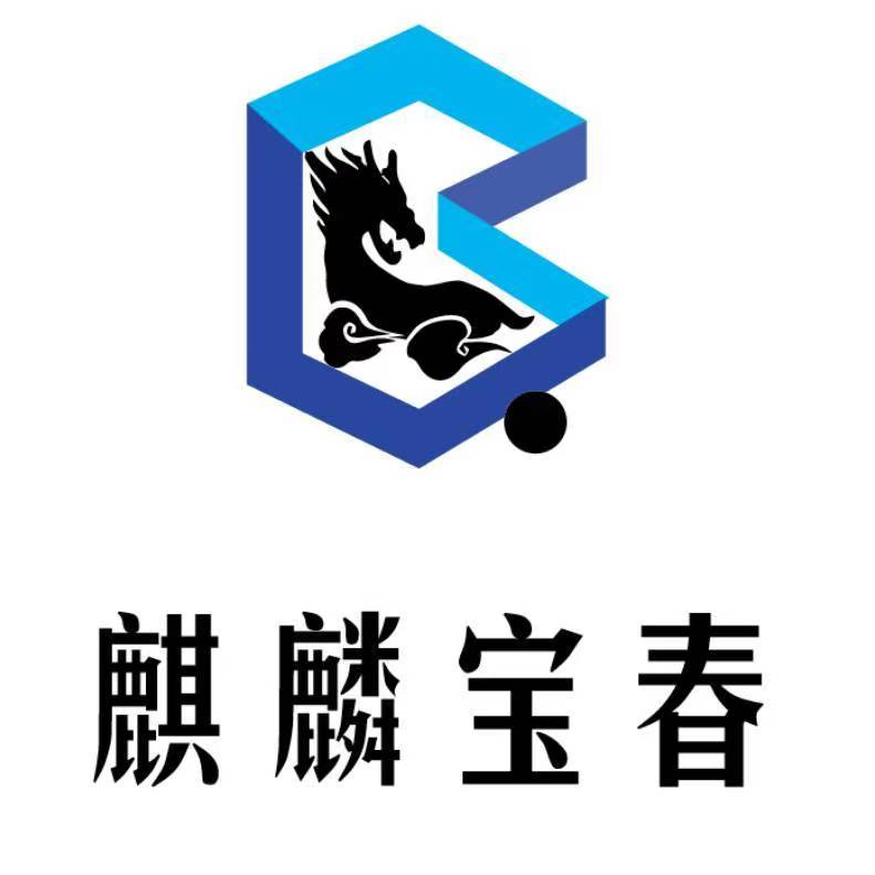 天津宝春金属制品厂的LOGO