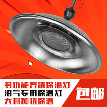 Heater insulation lamp Infrared biogas lamp Heating lamp Pig chicken and duck farm plant vegetable greenhouse heating lamp