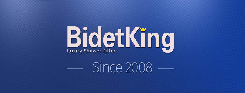 Bidetking净水过滤器