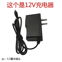 12 В новая прямая зарядка