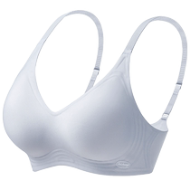 2024 new hot style underwear for women with small breasts that look bigger push-up anti-sagging bra breast reduction traceless soft support bra