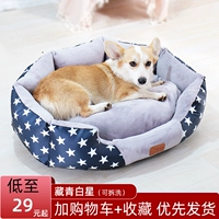 Тибетские синие и белые звездные гнезда [голландские бархатные и коралловые бархатные последователи]